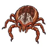 Illustration of Rocky Mountain wood tick