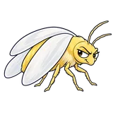 Illustration of Silverleaf whitefly