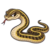 Illustration of Snakes around homes