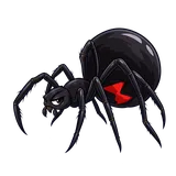 Illustration of Southern black widow