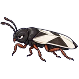 Illustration of Southern chinch bug