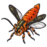 Illustration of Squash vine borer