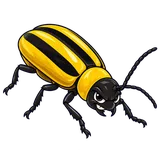 Illustration of Striped cucumber beetle