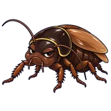 Illustration of Surinam cockroach
