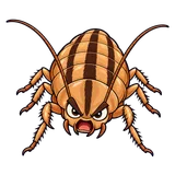 Illustration of Three-lined cockroach