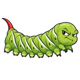 Illustration of Tobacco hornworm