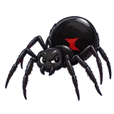 Illustration of Western black widow