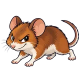 Illustration of White-footed mouse