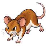 Illustration of Wood mouse
