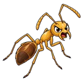 Illustration of Yellow crazy ant