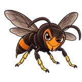 Illustration of Yellow-legged hornet
